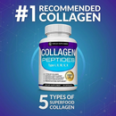 PAGA 1, LLEVATE 2 - Péptidos de colágeno TopLux™  Nutrición
